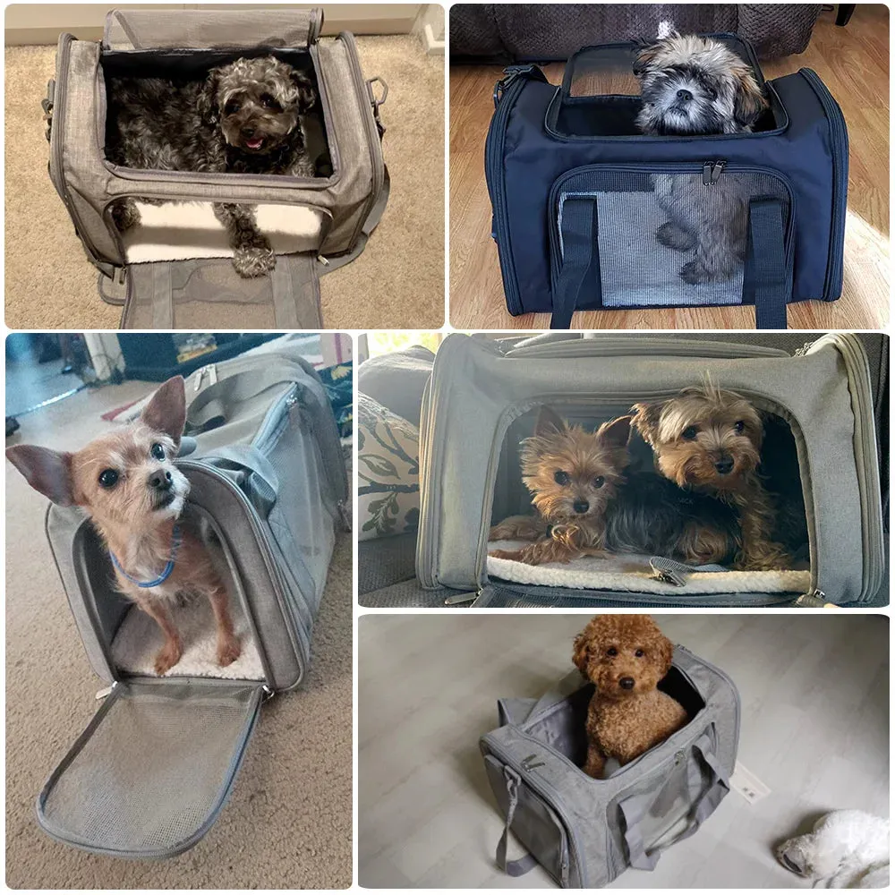 Airline Approved Pet Carrier